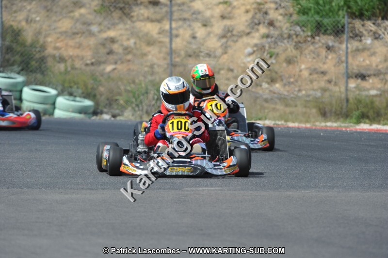 DSC (3210).JPG